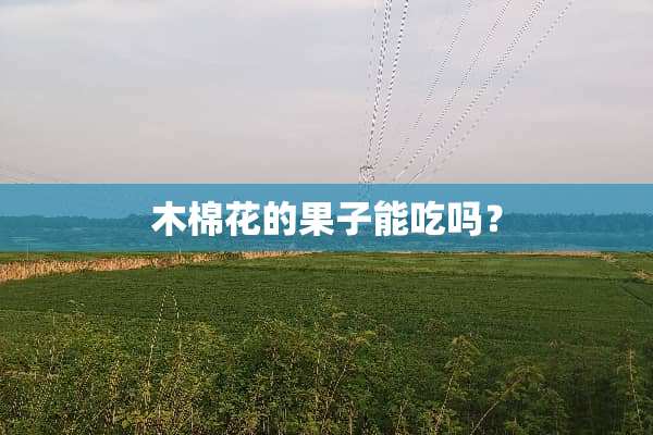 木棉花的果子能吃吗？