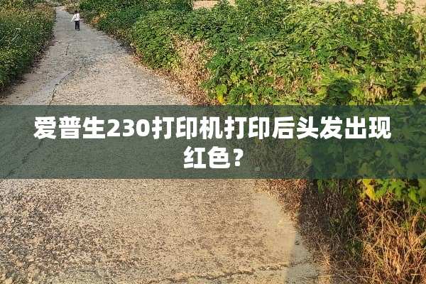 爱普生230打印机打印后头发出现红色？