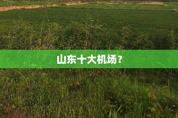 山东十大机场？