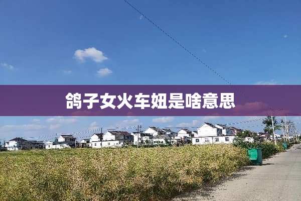 鸽子女火车妞是啥意思
