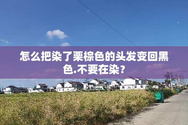 怎么把染了栗棕色的头发变回黑色.不要在染？