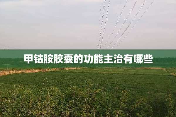 甲钴胺胶囊的功能主治有哪些