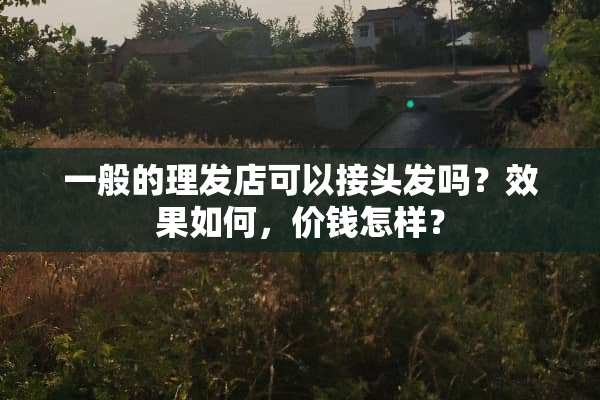 一般的理发店可以接头发吗？效果如何，价钱怎样？