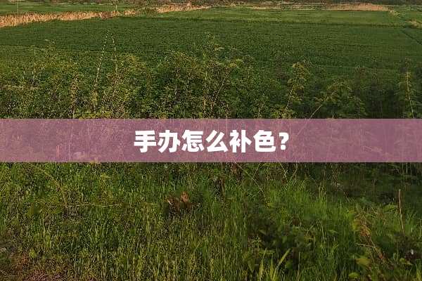 手办怎么补色？