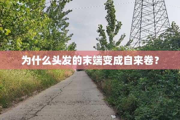 为什么头发的末端变成自来卷？