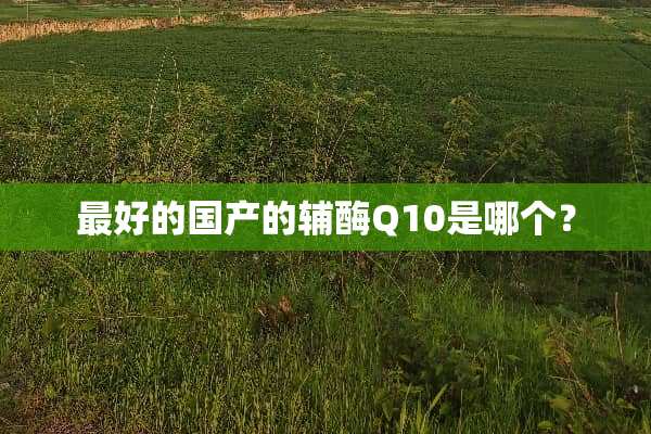 最好的国产的辅酶Q10是哪个？