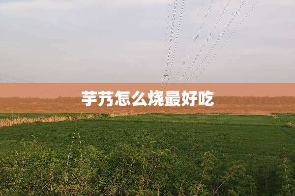 芋艿怎么烧最好吃