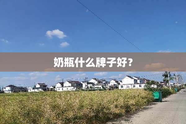 奶瓶什么牌子好？