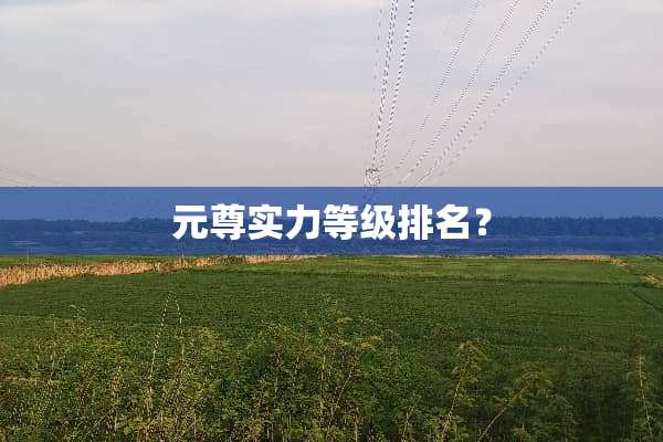 元尊实力等级排名？