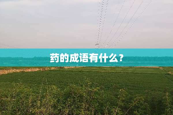 药的成语有什么？