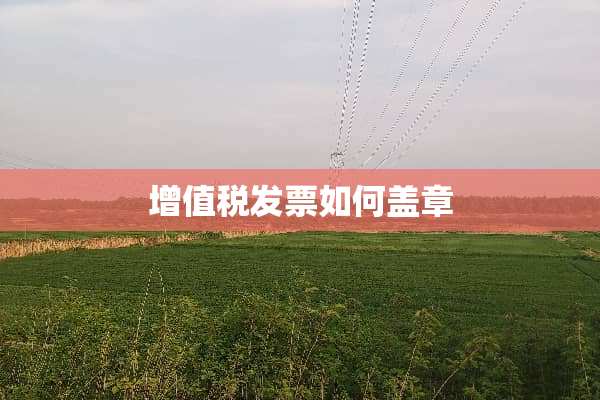 *****如何盖章