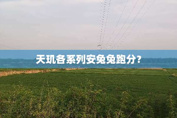 天玑各系列安兔兔跑分？