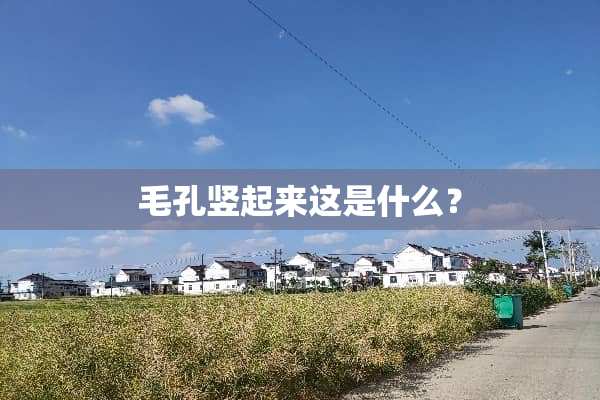 毛孔竖起来这是什么？
