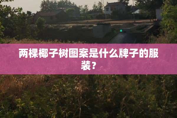 两棵椰子树图案是什么牌子的服装？