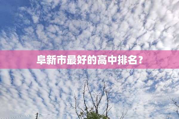 阜新市最好的高中排名？