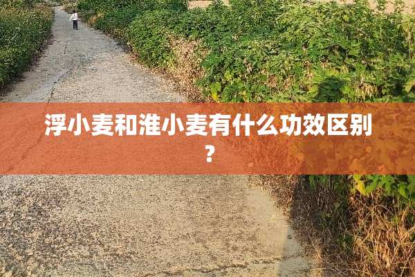 浮小麦和淮小麦有什么功效区别？