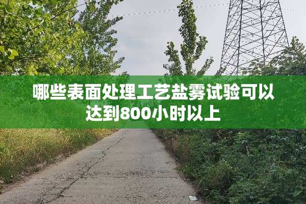 哪些表面处理工艺盐雾试验可以达到800小时以上