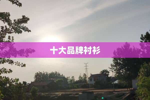 十大品牌衬衫
