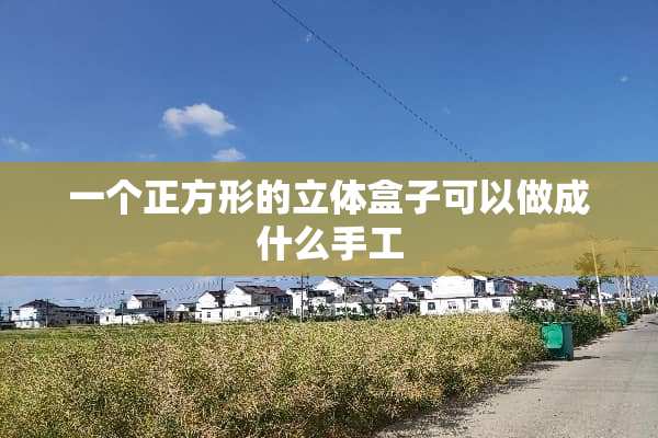 一个正方形的立体盒子可以做成什么手工