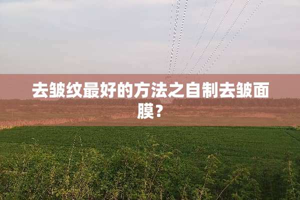 去皱纹最好的方法之自制去皱面膜？