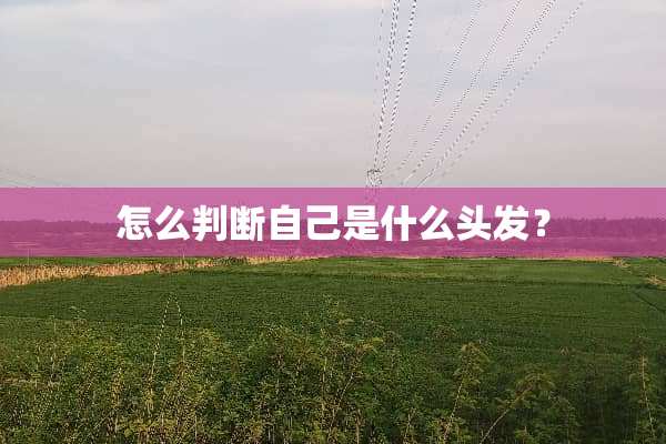 怎么判断自己是什么头发？