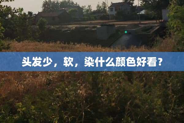 头发少，软，染什么颜色好看？