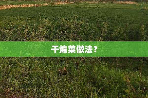 干煸菜做法？
