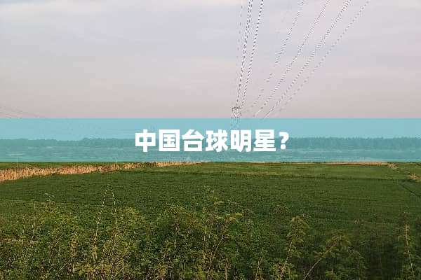 中国台球明星？