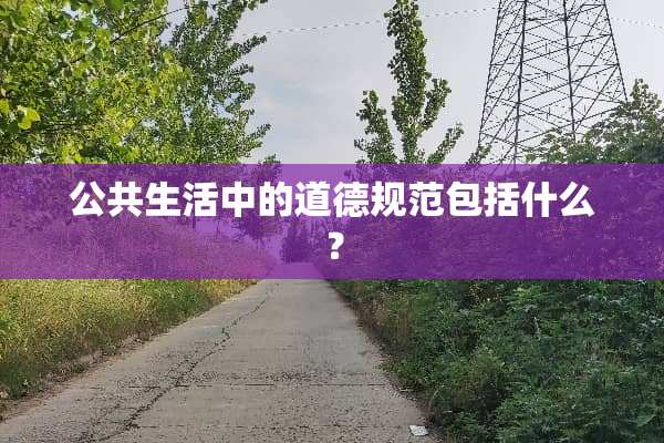 公共生活中的道德规范包括什么？