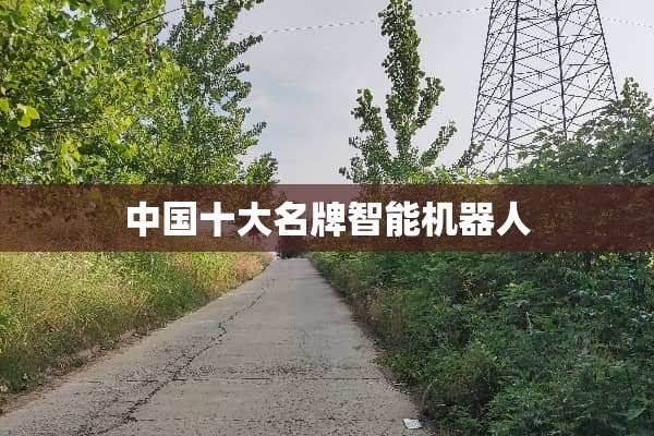 中国十大名牌智能机器人