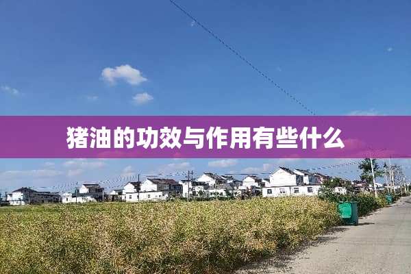 猪油的功效与作用有些什么