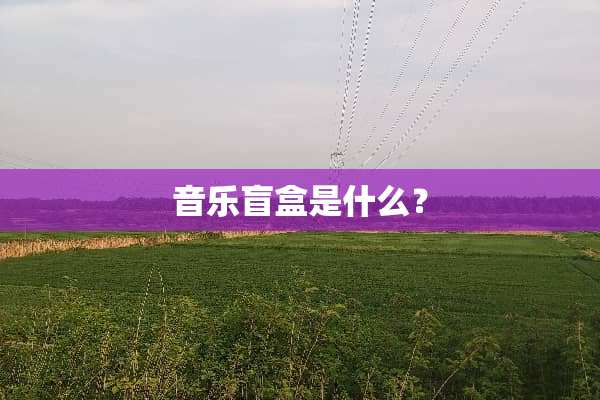 音乐盲盒是什么？