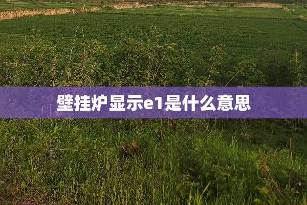 壁挂炉显示e1是什么意思