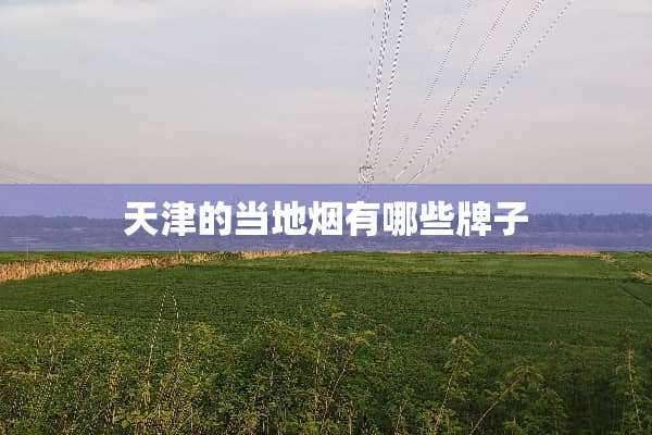 天津的当地烟有哪些牌子