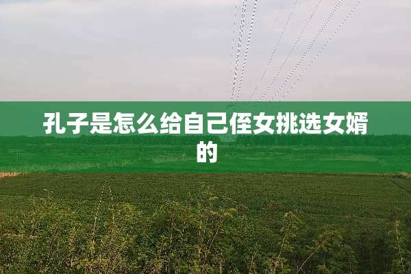 孔子是怎么给自己侄女挑选女婿的