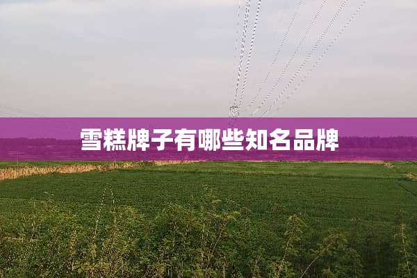 雪糕牌子有哪些知名品牌