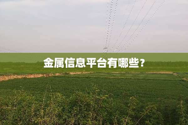金属信息平台有哪些？