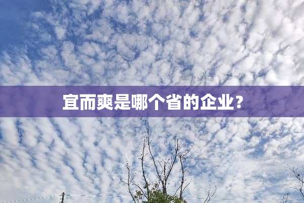 宜而爽是哪个省的企业？