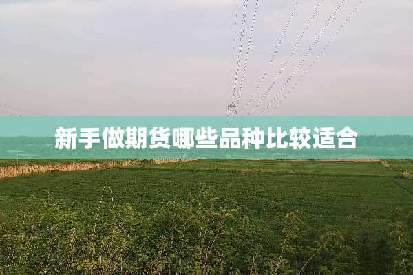新手做期货哪些品种比较适合