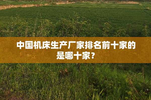 中国机床生产厂家排名前十家的是哪十家？