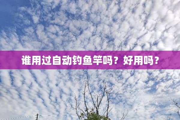 谁用过自动钓鱼竿吗？好用吗？