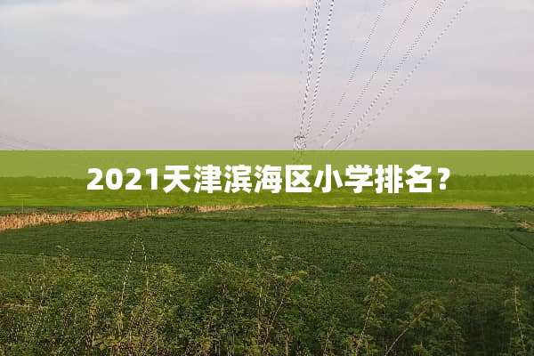 2021天津滨海区小学排名？