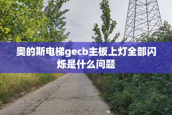 奥的斯电梯gecb主板上灯全部闪烁是什么问题