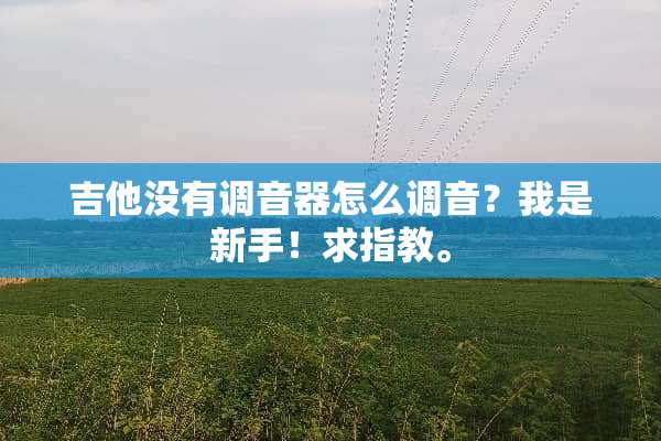 吉他没有调音器怎么调音？我是新手！求指教。