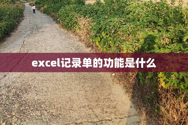 excel记录单的功能是什么
