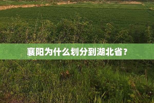 襄阳为什么划分到湖北省？