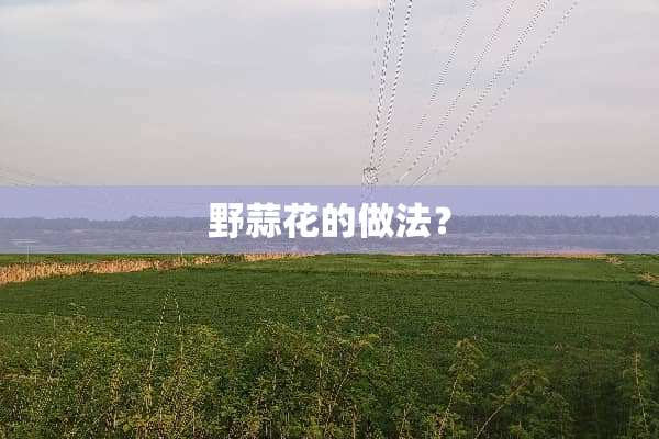 野蒜花的做法？