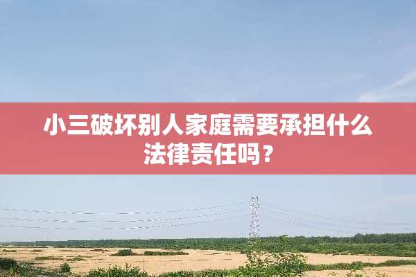 小三破坏别人家庭需要承担什么法律责任吗？