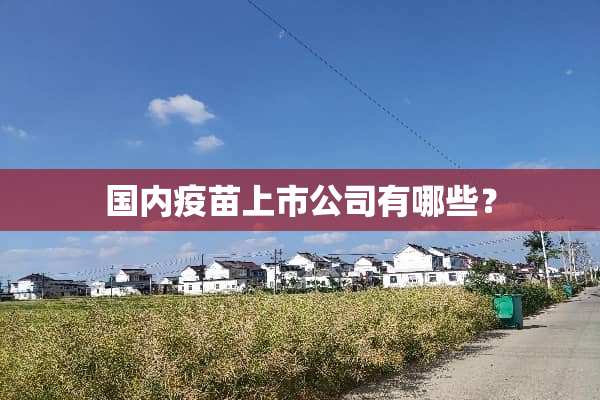 国内**上市公司有哪些？