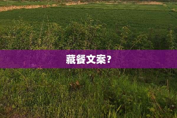 藏餐文案？